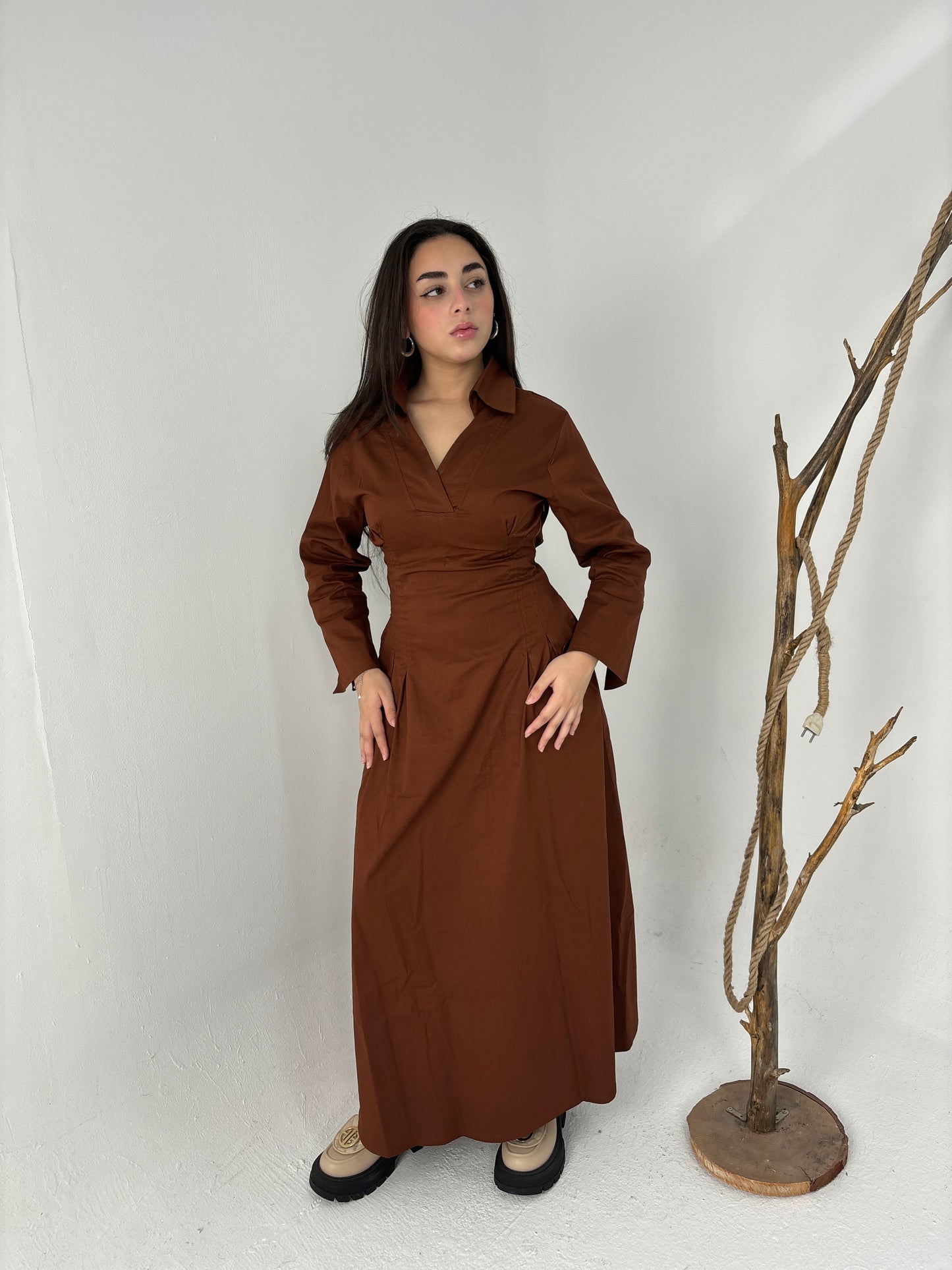 Cinched waist dress-brown