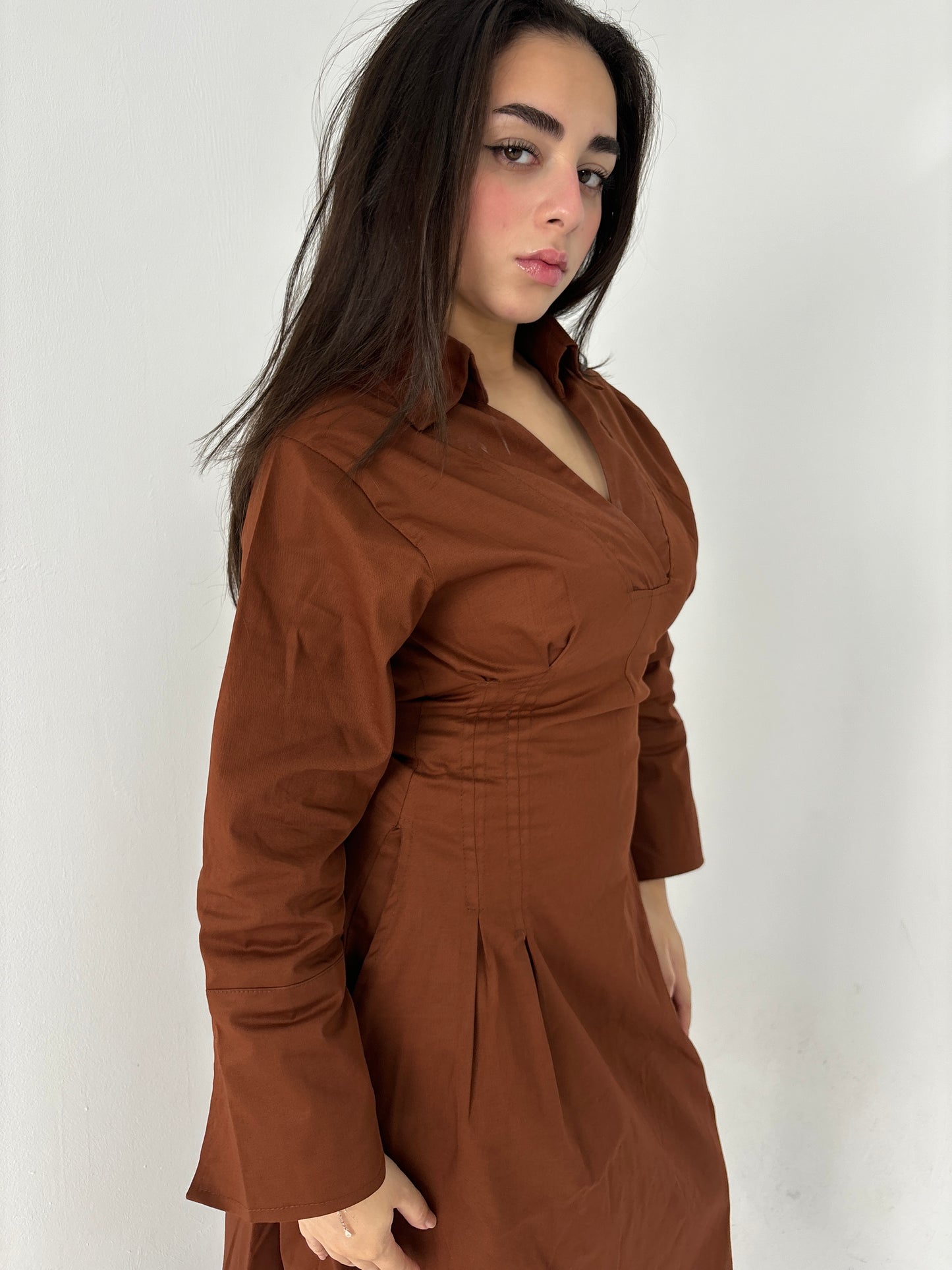 Cinched waist dress-brown