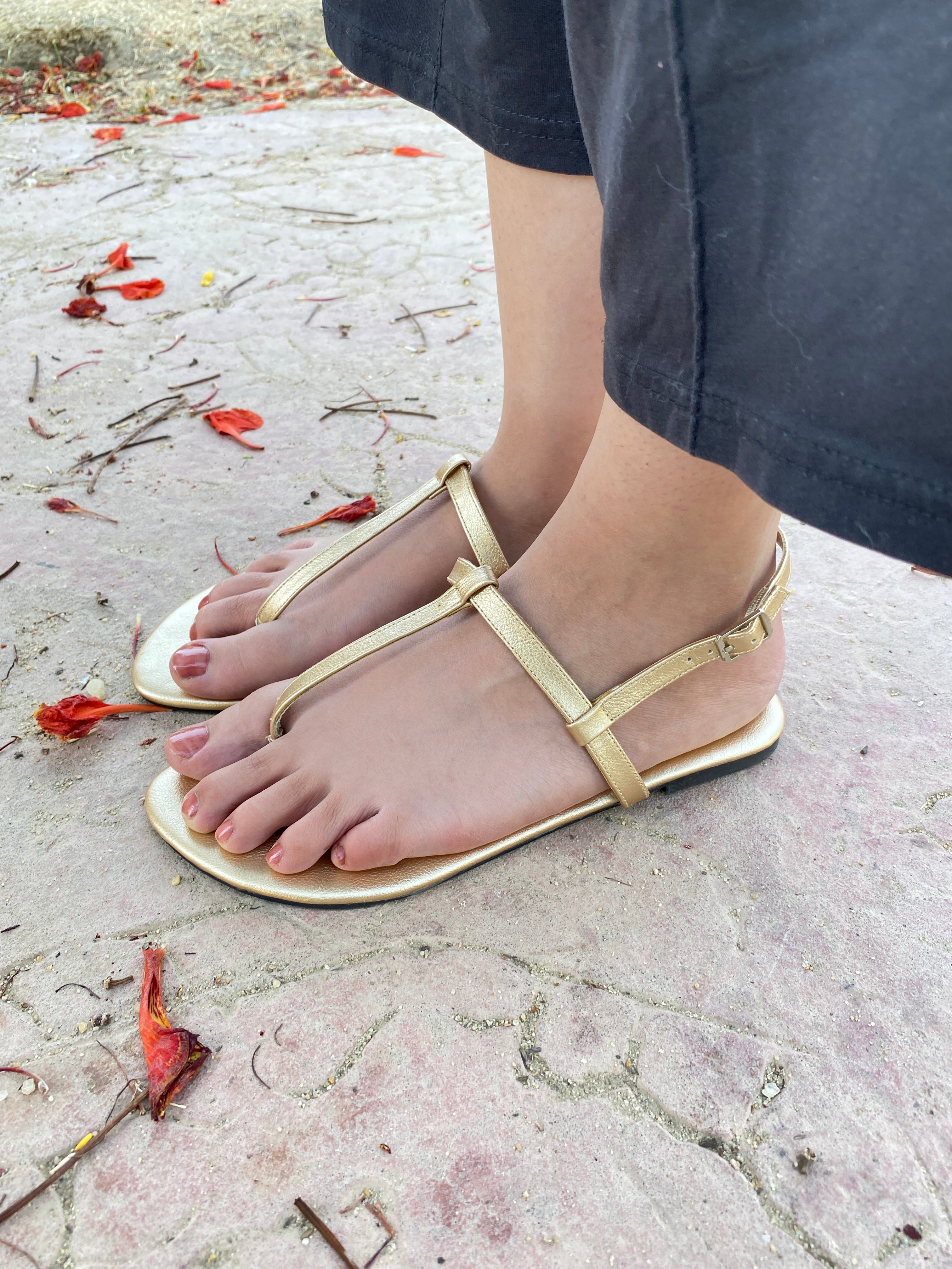 Classic slippers -Gold